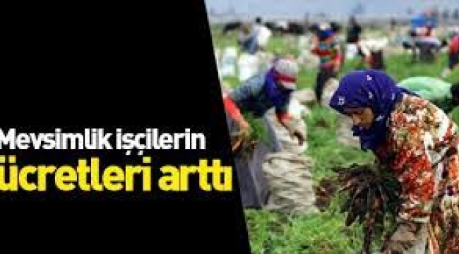 Mevsimlik tarım işçilerinin ortalama günlük ücretleri %12,6 arttı