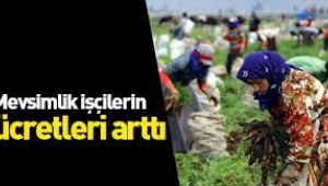 Mevsimlik tarım işçilerinin ortalama günlük ücretleri %12,6 arttı