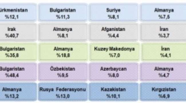 Türkiye'de ikamet eden nüfusun %3,2'si yurt dışı doğumlu