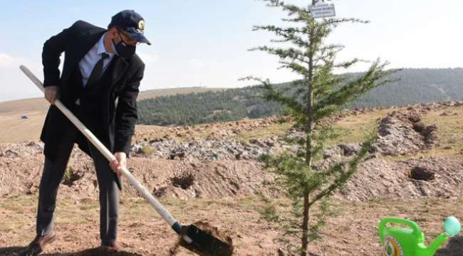 AFSÜ Millî Ağaçlandırma Gününde Fidan Dikti