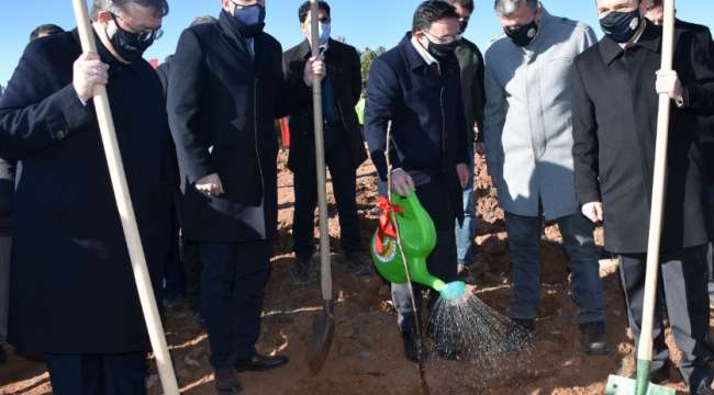 AFSÜ Tıbbi ve Aromatik Bitkiler Ormanında Fidanlar Toprakla Buluştu