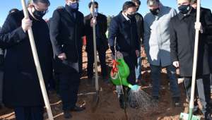 AFSÜ Tıbbi ve Aromatik Bitkiler Ormanında Fidanlar Toprakla Buluştu