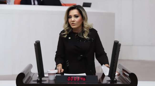 Aylin Cesur : Engelli aylığı çok az, derhal arttımalısınız