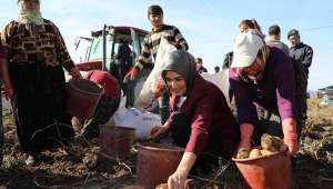 Depremin Yaraları Tarım Sektöründe de Sarılıyor