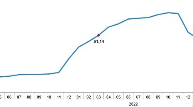 Tüketici enflasyonu yıllık %50,51, aylık %2,29 oldu