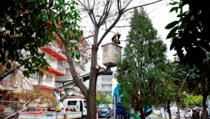 Başkan Özlem Çerçioğlu, Efeler'de Yeşil Alan Çalışmalarını Hızlandırıyor, Vatandaşlar Memnun