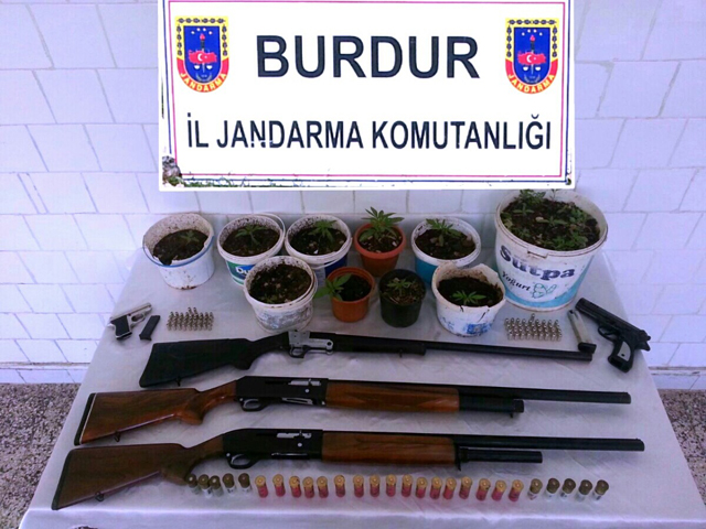 Burdur’da çiçek saksılarından kenevir çıktı