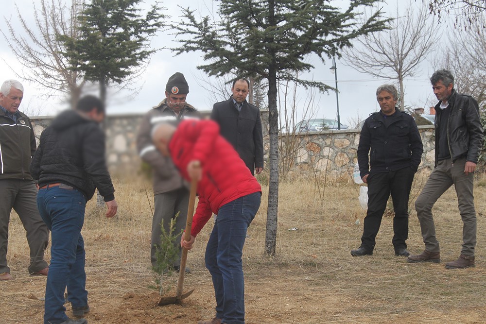 Denetimli Serbestlik Müdürlüğü ağaç dikti